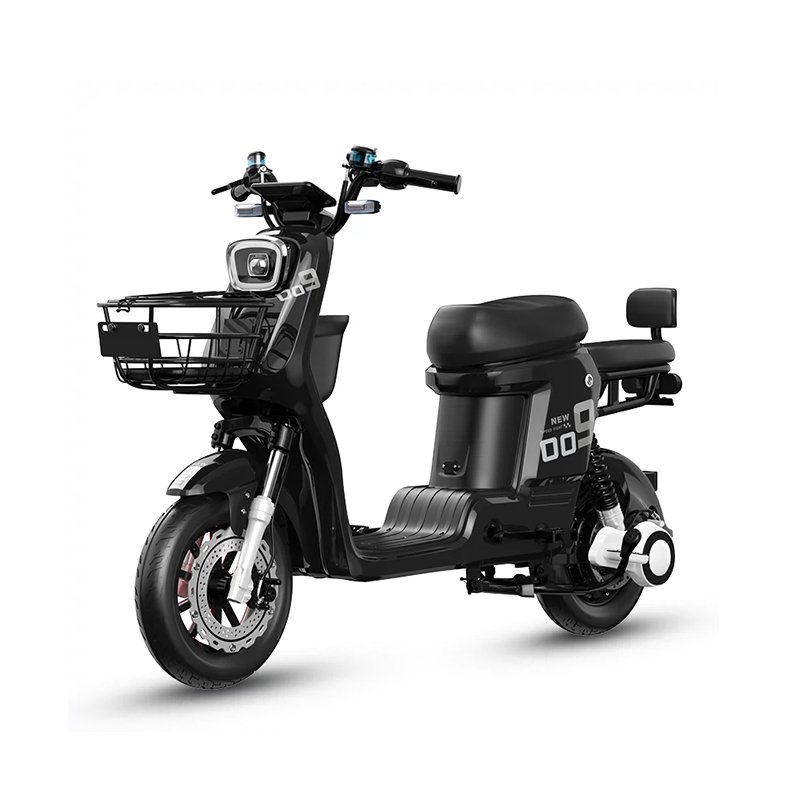 2025 New Takeout 10 inch Factory low price cargo fat tire hybrid city for courier e-bike monster dirt mountain electric bike