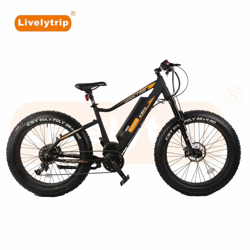 2019 New Ebike 48V 1000W Fat Tire Mid Motor Electric Mountain Bike MTB/BMX Bicycle