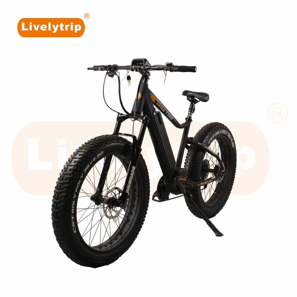 2019 New Ebike 48V 1000W Fat Tire Mid Motor Electric Mountain Bike MTB/BMX Bicycle