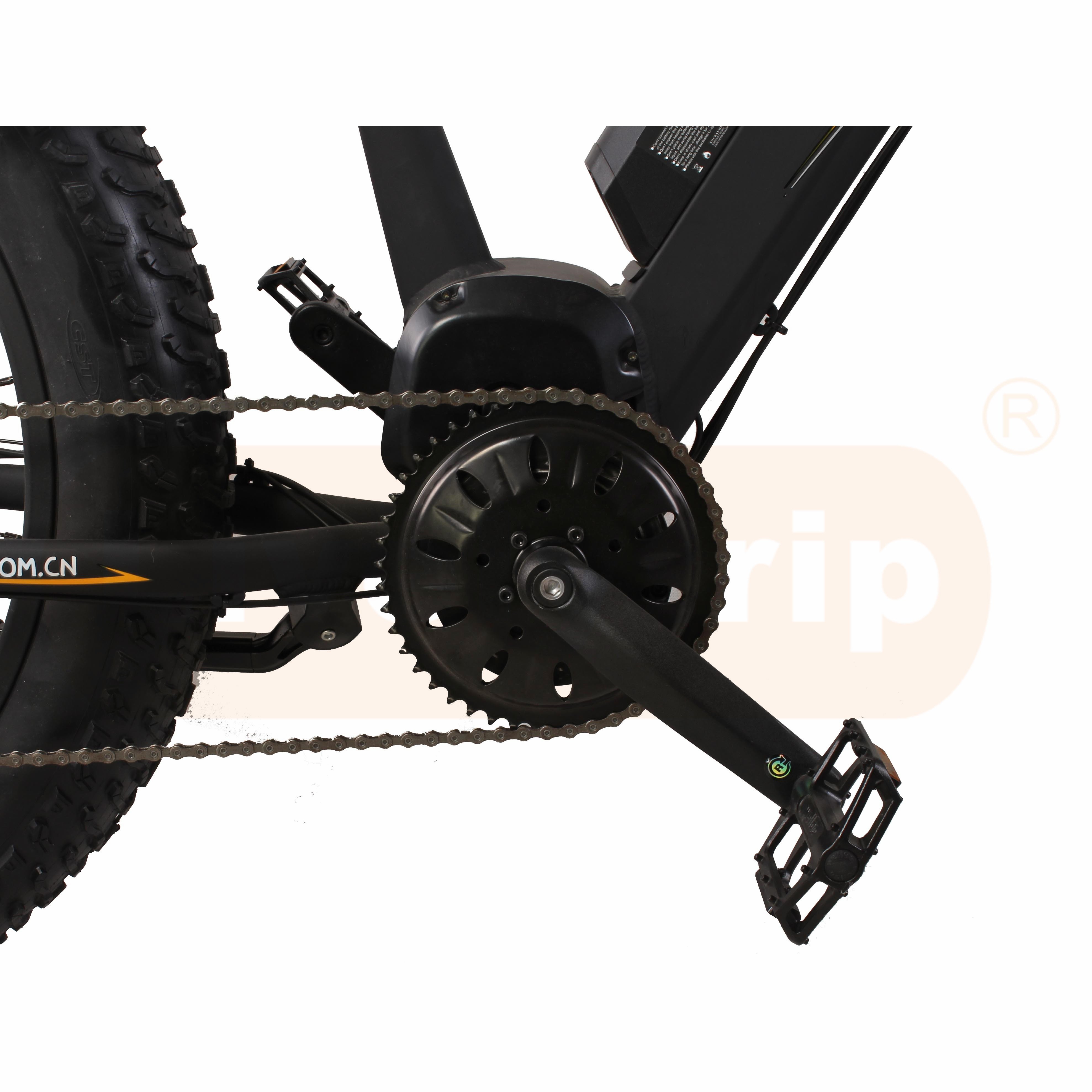 2019 New Ebike 48V 1000W Fat Tire Mid Motor Electric Mountain Bike MTB/BMX Bicycle