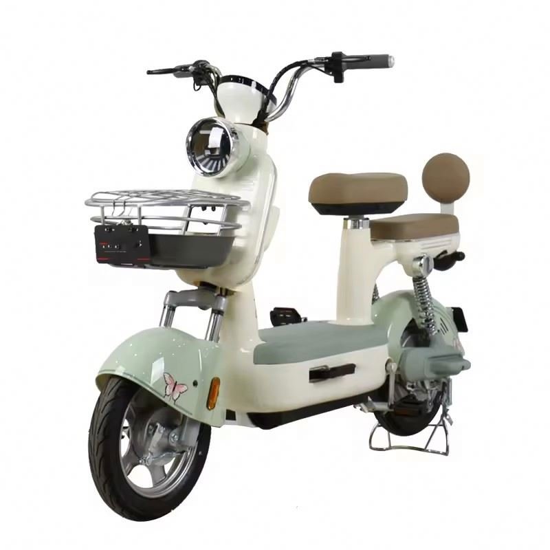 E BIKE Factory Wholesale Electric Bicycle 350W 48V Adult Electric city Bike Lead acid Battery Two wheeled