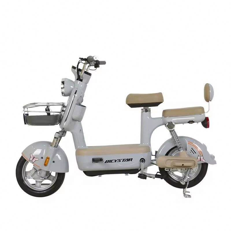 E BIKE Factory Wholesale Electric Bicycle 350W 48V Adult Electric city Bike Lead acid Battery Two wheeled