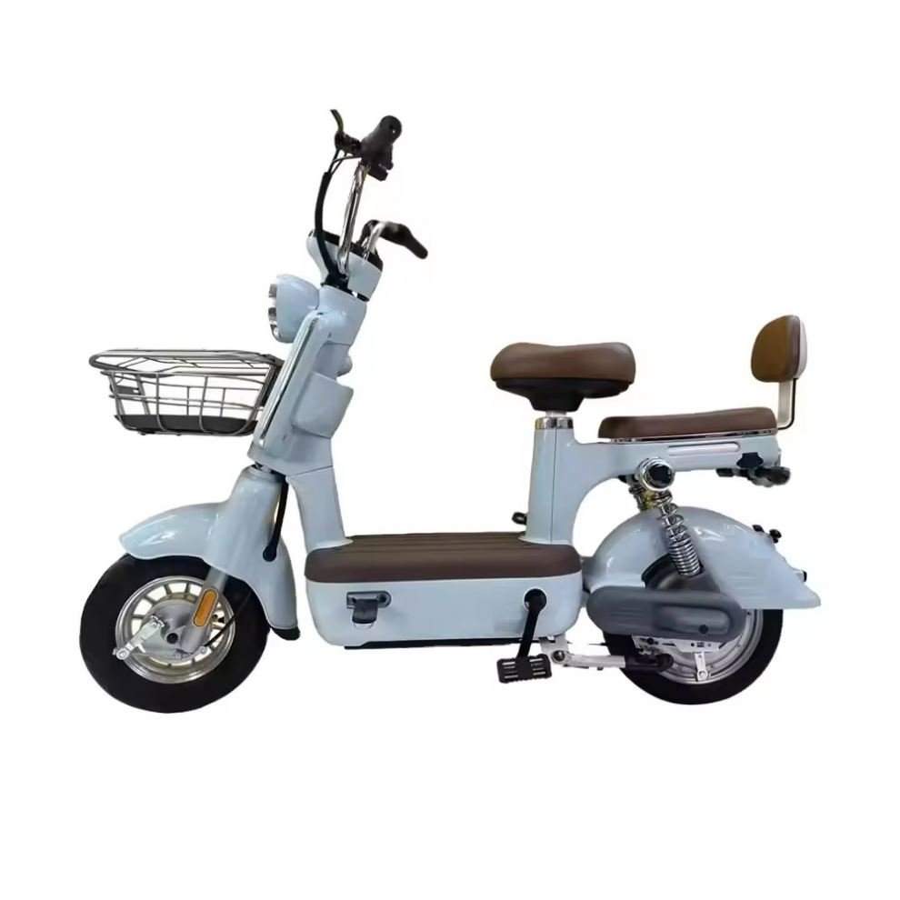 E BIKE Factory Wholesale Electric Bicycle 350W 48V Adult Electric city Bike Lead acid Battery Two wheeled