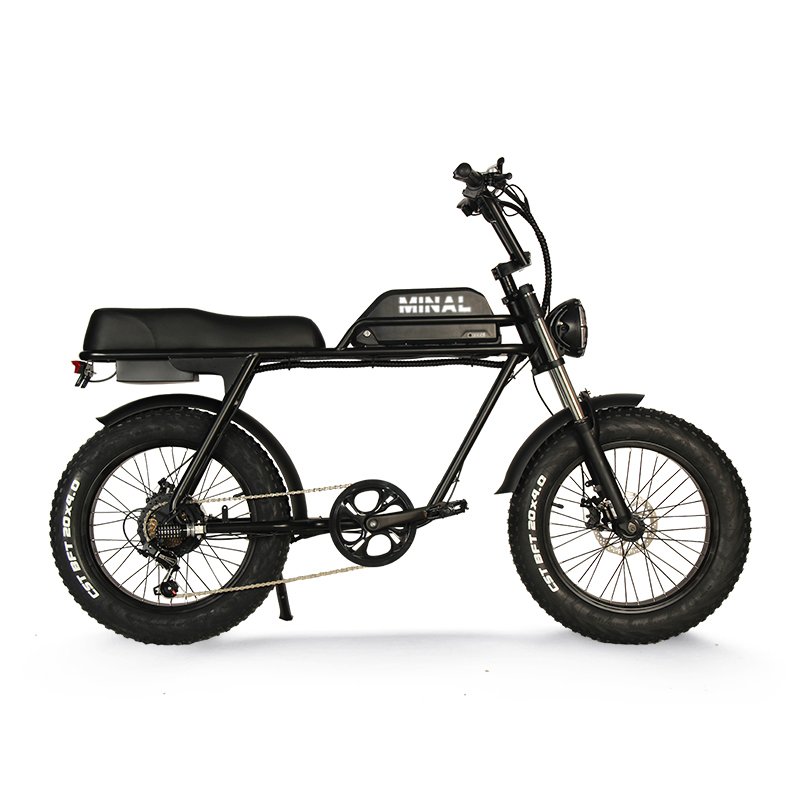 Hot Sell X6 pro 20 inch 48V 10.5Ah mountain foldable 750w High Speed Rear Drive Brushless Gear Hub fat tire electric bike