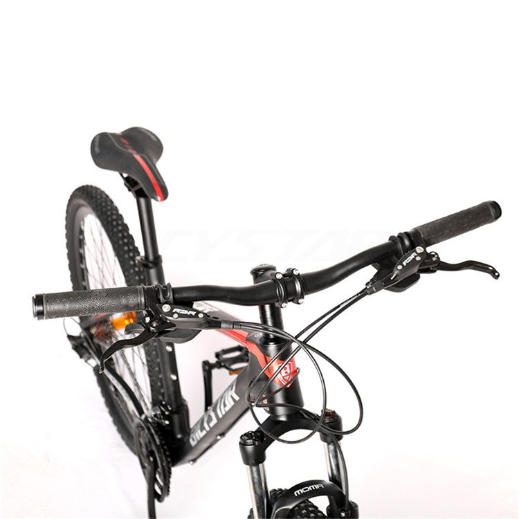Direct Bicicle 36 Speed 29inches Carbon Fiber Mountain Bike With Factory Price