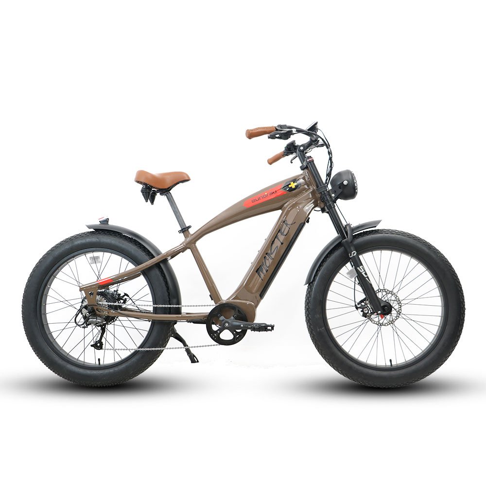 BTN 48V 750w monster e bikes electric bicycle Aluminum Alloy Road Bike Fat Tire electric mountain bike Retro Ebike