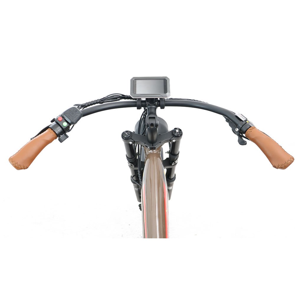 BTN 48V 750w monster e bikes electric bicycle Aluminum Alloy Road Bike Fat Tire electric mountain bike Retro Ebike