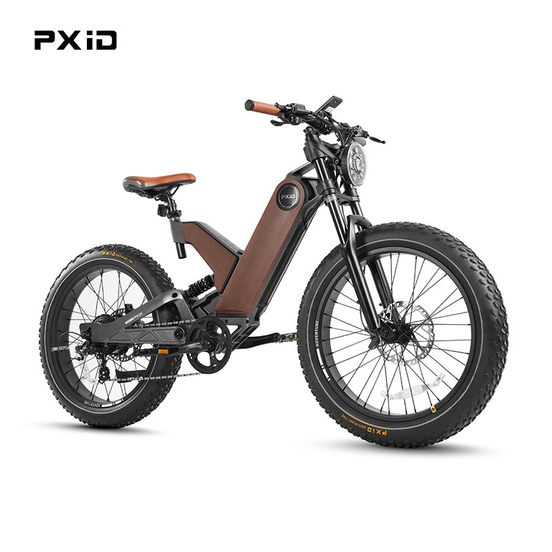 Fat Tire Mountain E Bike 24'' New Electric Bike 750W Fast Bicycle For Wholesale MTB E Bike
