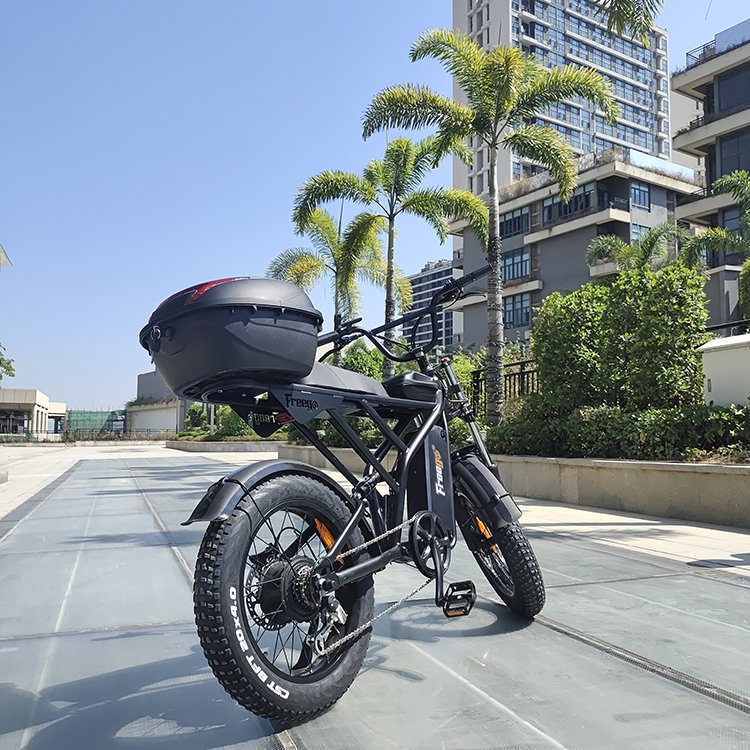 F2 1200W 48V 20Ah 40-65km Single Speed 20''x4'' Fat Tire Electric Bike with Rear Trunk