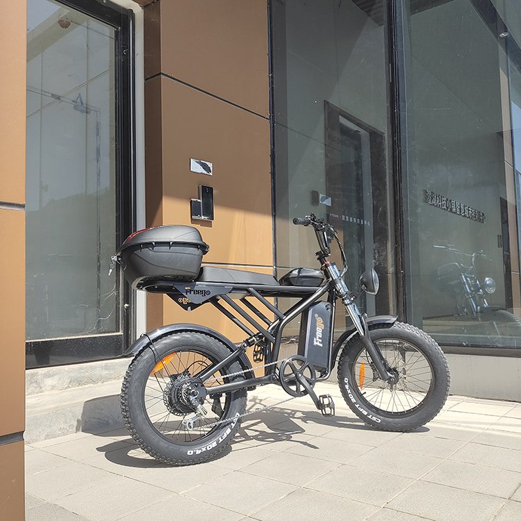 F2 1200W 48V 20Ah 40-65km Single Speed 20''x4'' Fat Tire Electric Bike with Rear Trunk