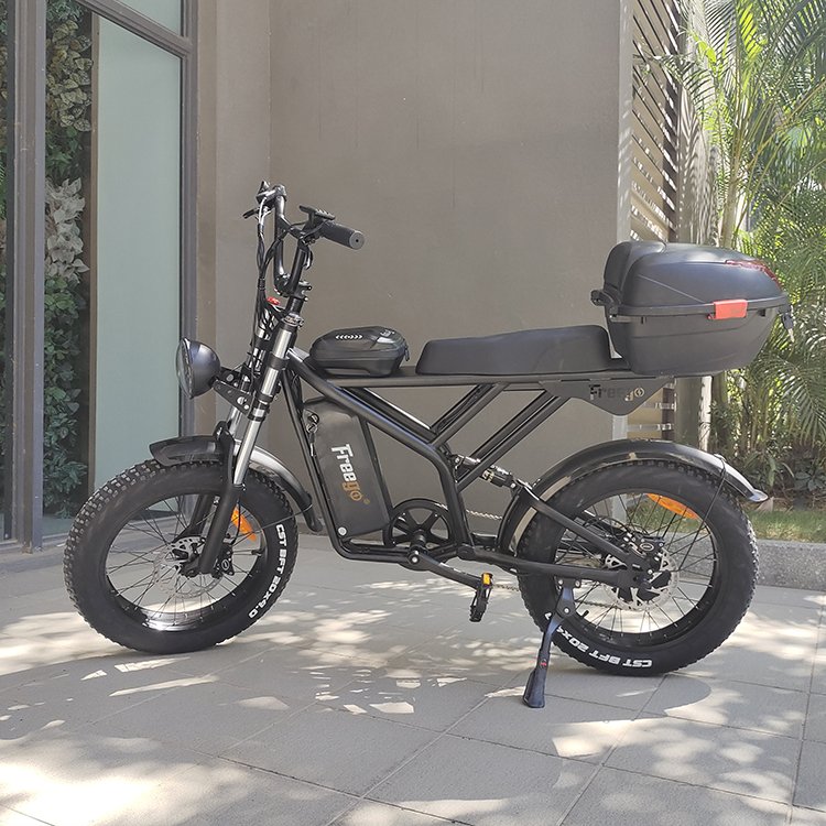 F2 1200W 48V 20Ah 40-65km Single Speed 20''x4'' Fat Tire Electric Bike with Rear Trunk