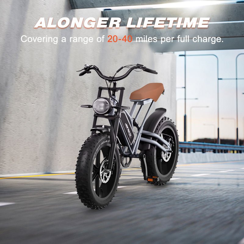 X50 USA 48 Hour Shipping 750 Watt Fat Tire Ebike Electrica Big Tyre Charging Cycle Electric City Bike Cargo Electrical Bikes