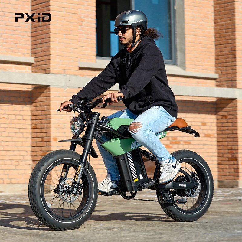 PXID MANTIS P6 20 inch fat tyres ebike 750w 1000w all terrain electric city bike