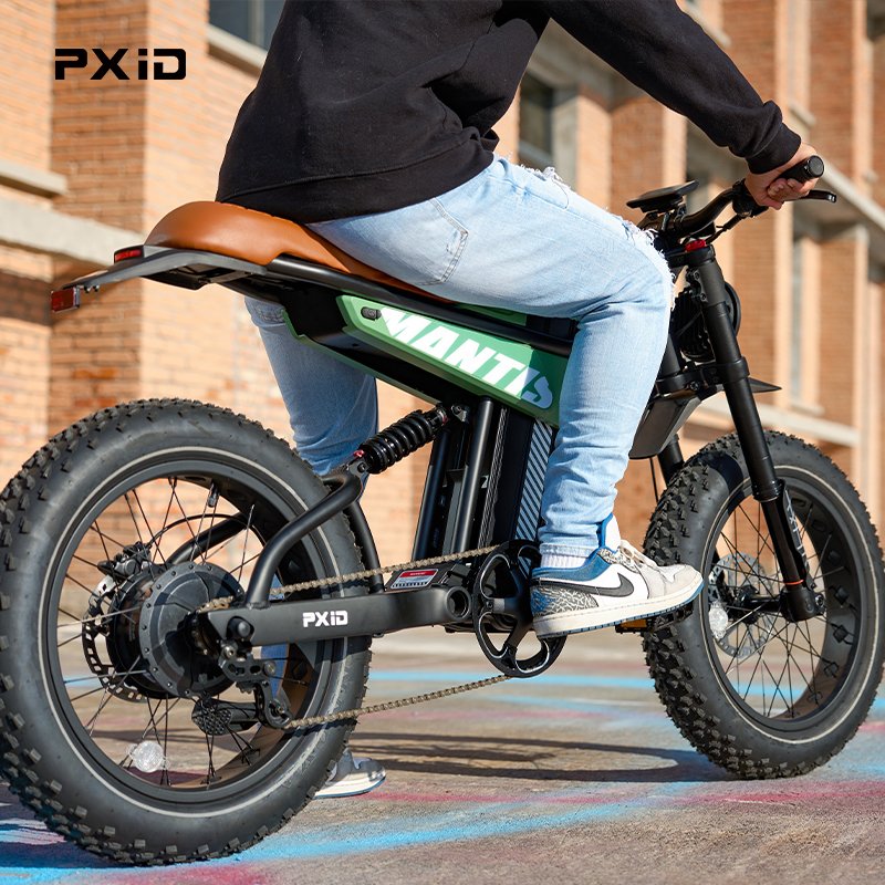 PXID MANTIS P6 20 inch fat tyres ebike 750w 1000w all terrain electric city bike