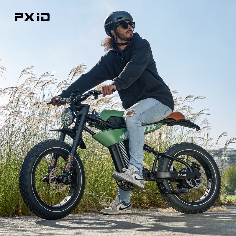 PXID MANTIS P6 20 inch fat tyres ebike 750w 1000w all terrain electric city bike