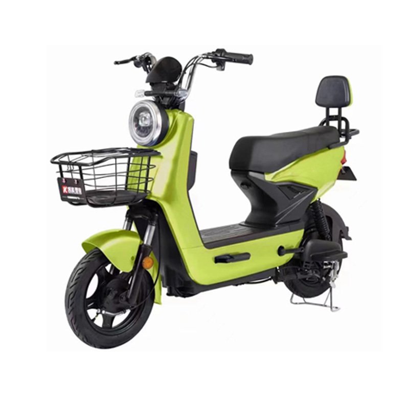 electric city bicycle fat tires off road e-bike low price Powerful electric bike