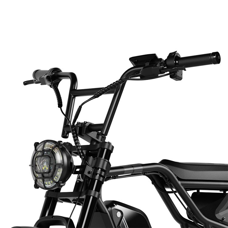 20 Inch 48V Lithium Battery 7 Speed Fat Tire Electric Mountain Bike Elektrische hybride fietsen
