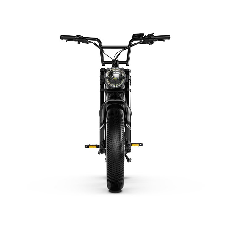 20 Inch 48V Lithium Battery 7 Speed Fat Tire Electric Mountain Bike Elektrische hybride fietsen