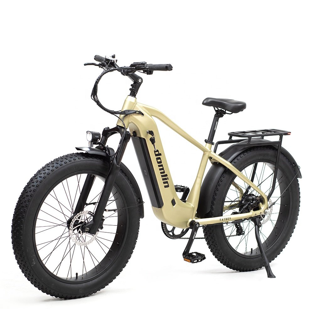 DOMLIN Long Rang Multi Mode 26 Wheel Size Electric Mountain Bike Electric Bicycle