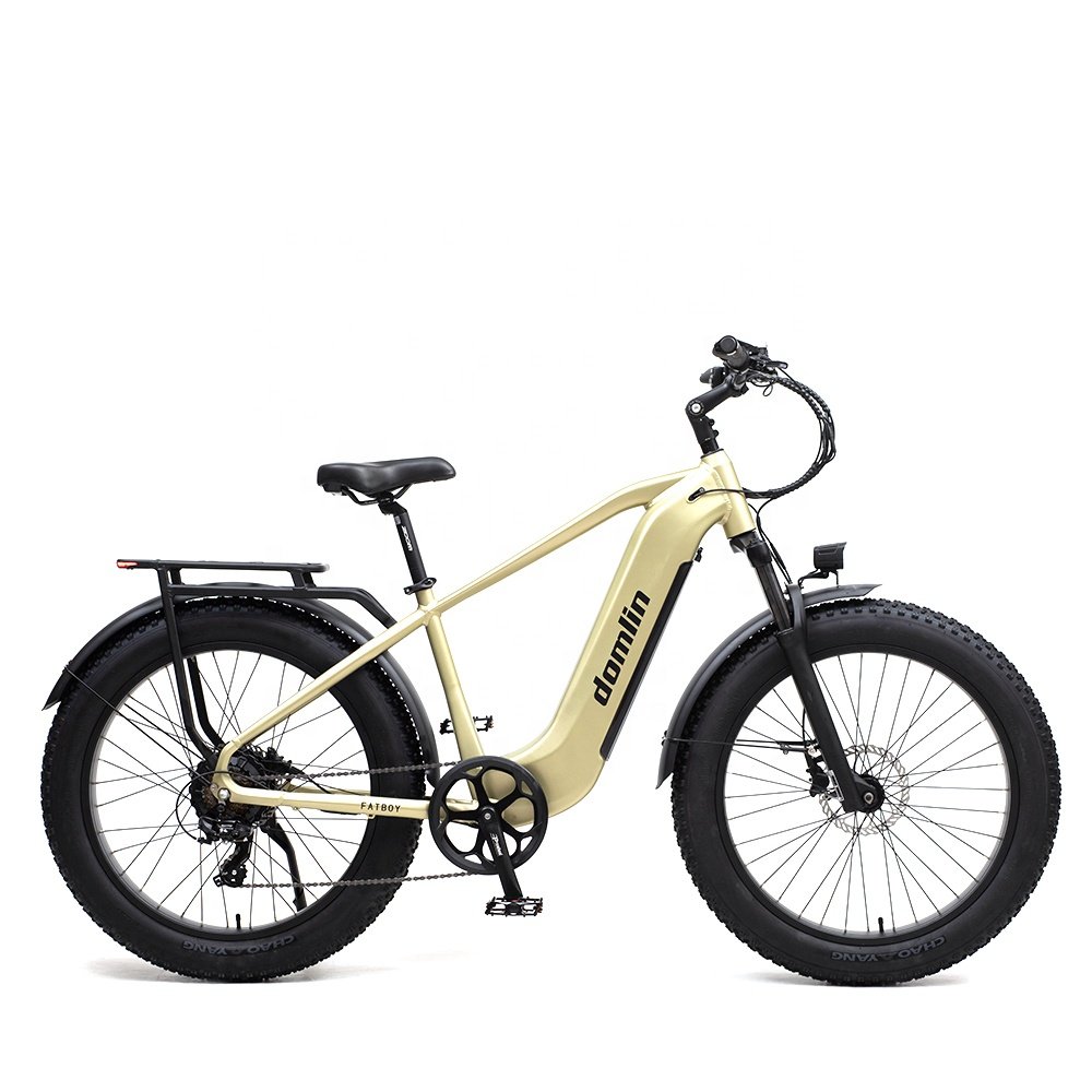 DOMLIN Long Rang Multi Mode 26 Wheel Size Electric Mountain Bike Electric Bicycle