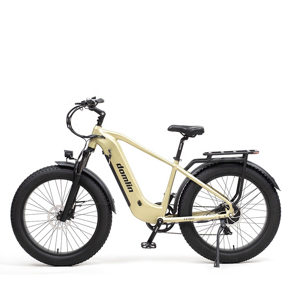 DOMLIN Long Rang Multi Mode 26 Wheel Size Electric Mountain Bike Electric Bicycle