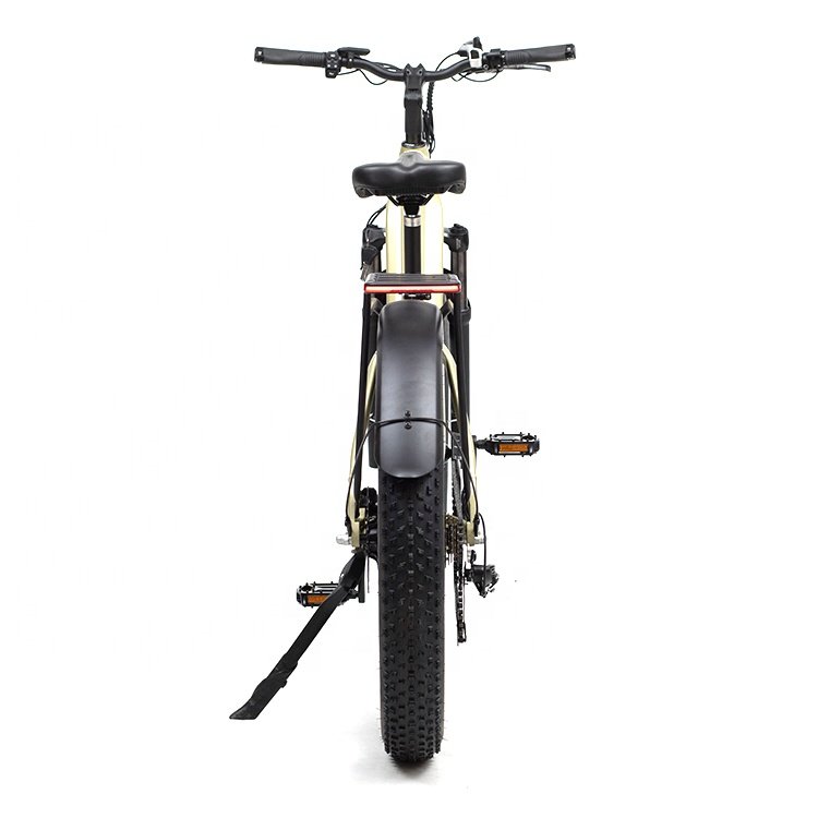 DOMLIN Long Rang Multi Mode 26 Wheel Size Electric Mountain Bike Electric Bicycle