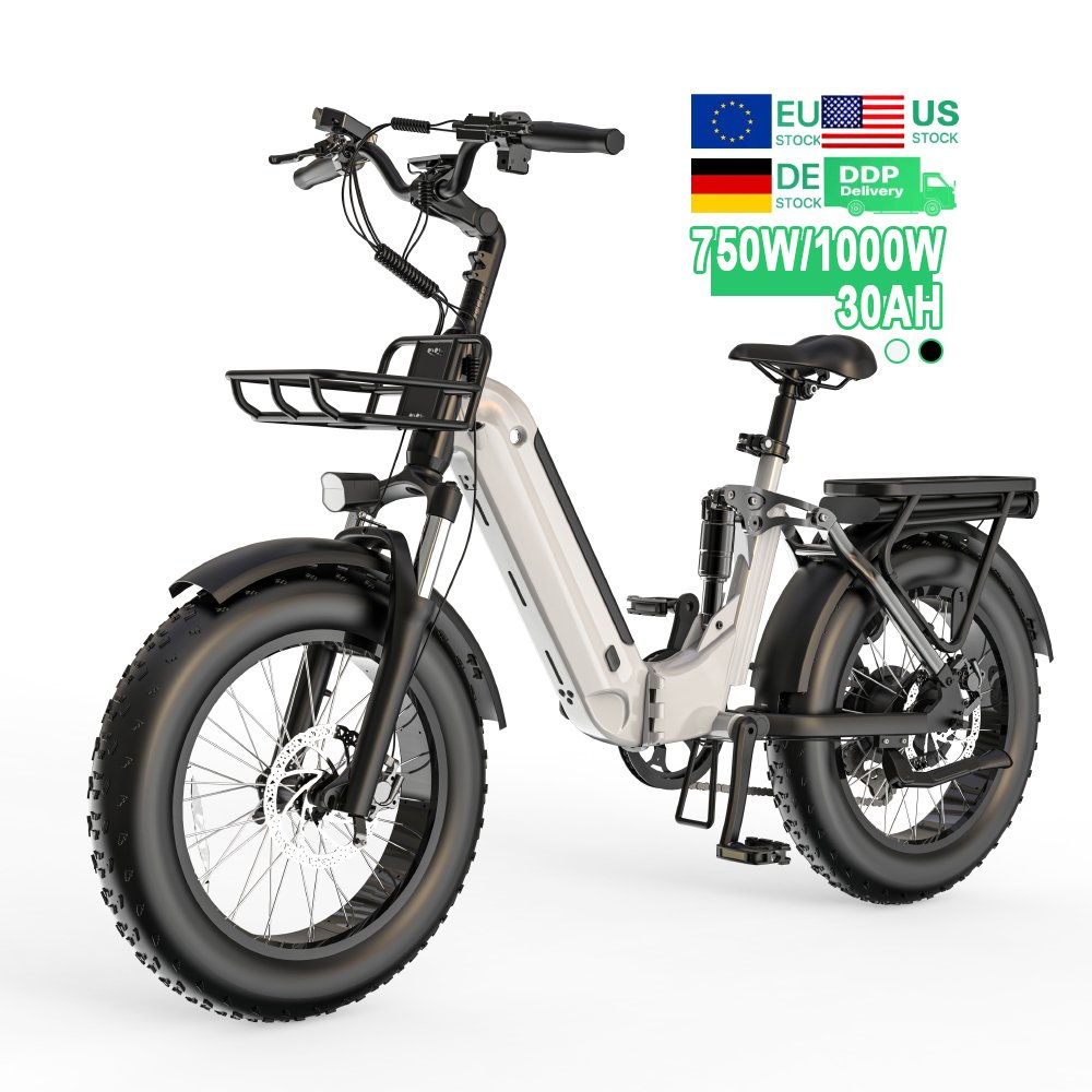 Eu/Us Stock 48V 1000W 20Inch Full Suspension Fat Tire Electric Mountain Bike with 30AH Battery for City and Dirt Trails