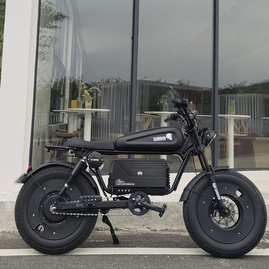 High Speed ebike 65kmh 1500w 48v 30/60AH max speed Fat Tire Electric Bike Mountain Bike