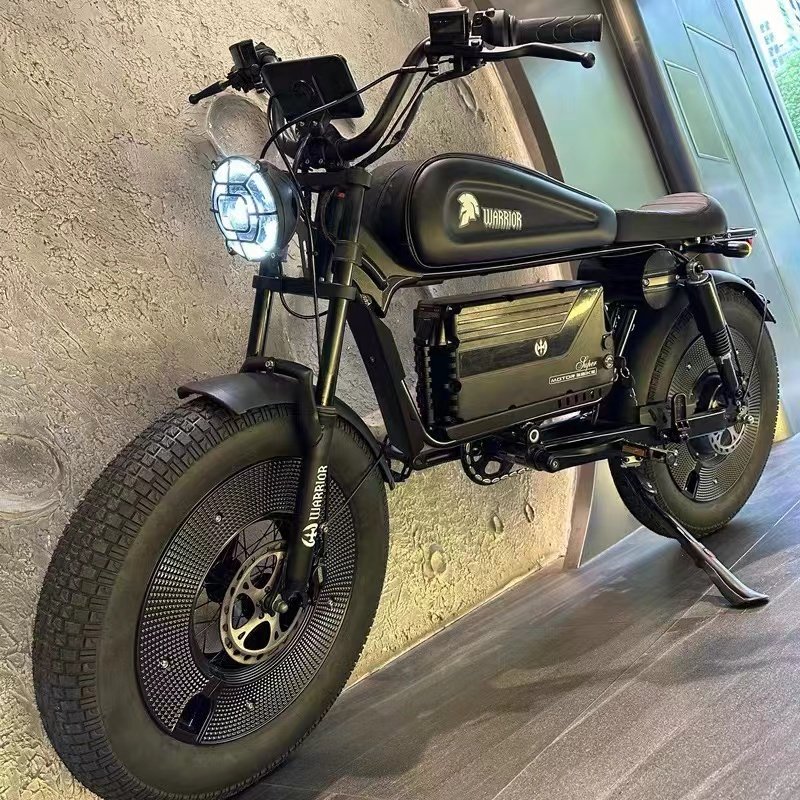 High Speed ebike 65kmh 1500w 48v 30/60AH max speed Fat Tire Electric Bike Mountain Bike
