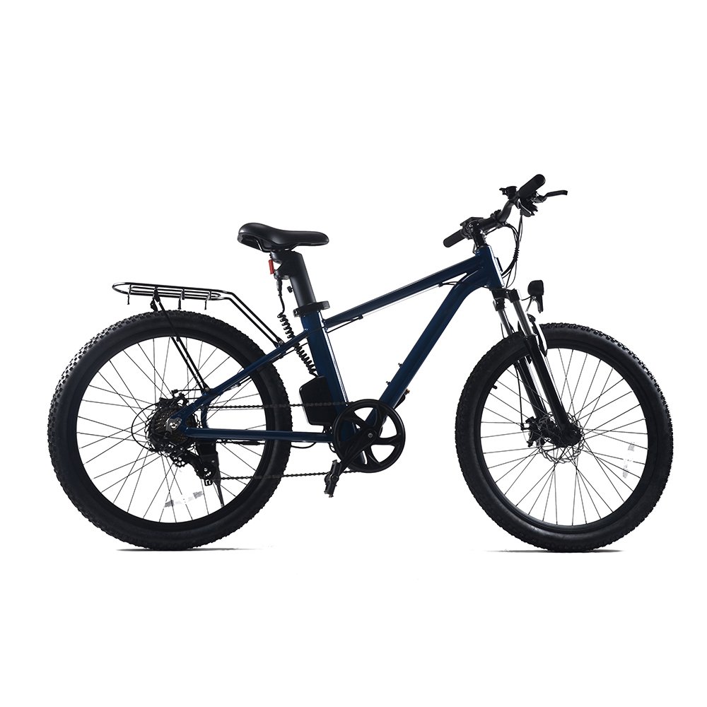2022 Hot sale E-MTB 36v 350w electric mountain bike for adults