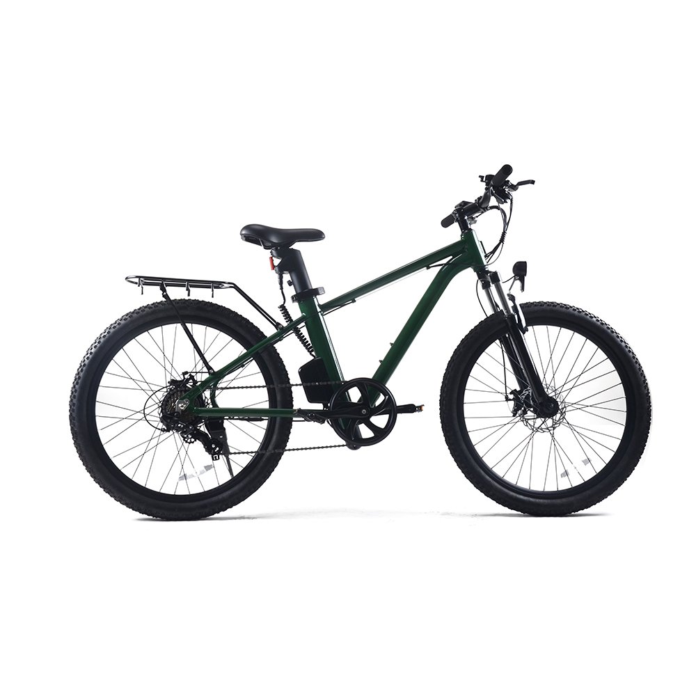 2022 Hot sale E-MTB 36v 350w electric mountain bike for adults