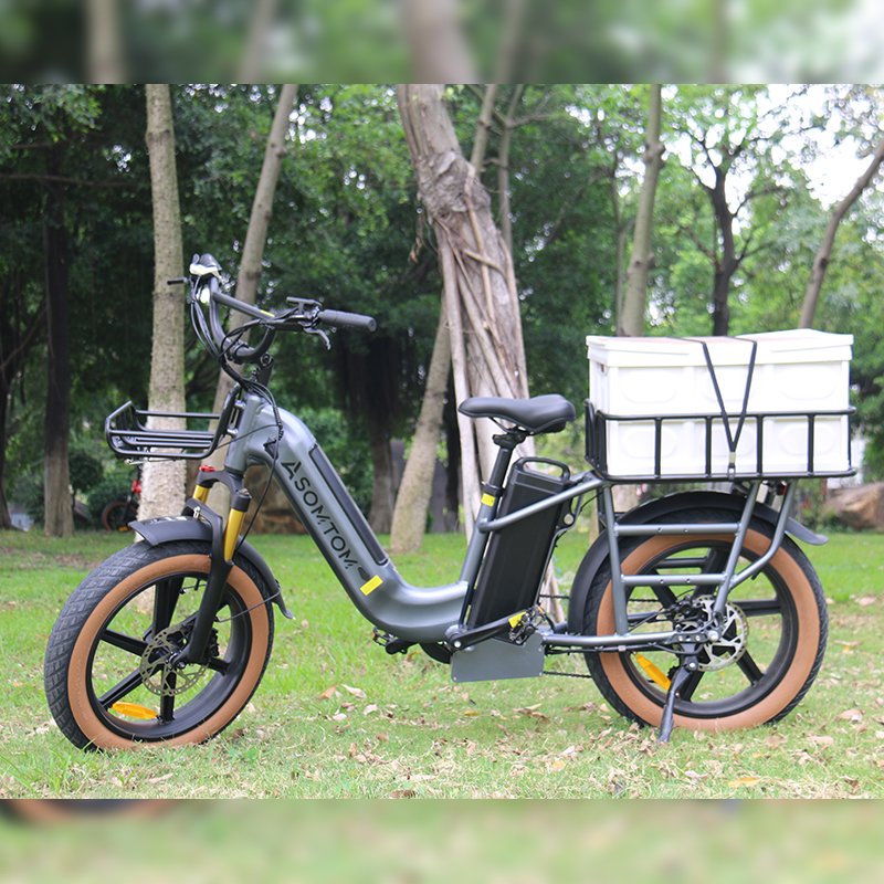 Adult Electric City Bike 500W Aluminum Alloy 48v15AH Power 330lb Load Capacity for Carrying Freight for Ebik electric cargo bike
