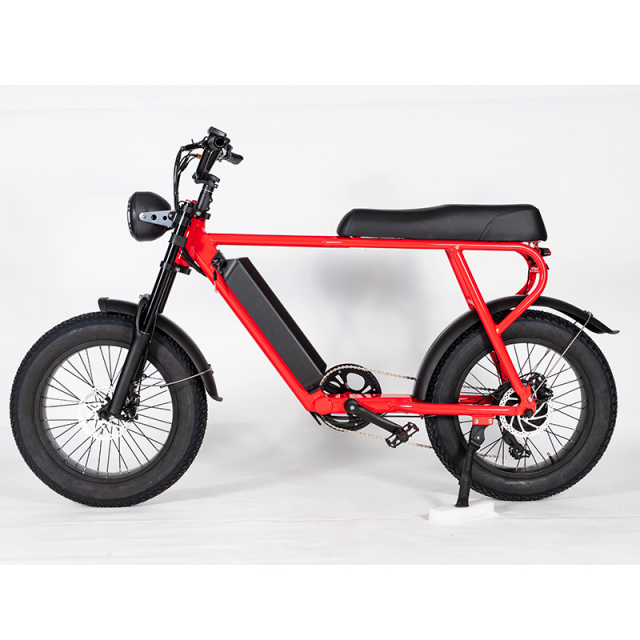 New 20 inch Ebike 20AH electric bicycle Light City Electric Bike 500W