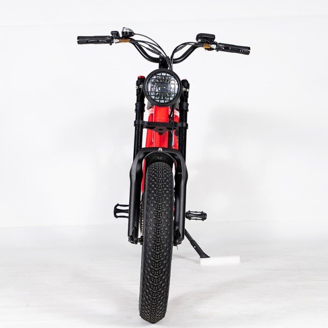 New 20 inch Ebike 20AH electric bicycle Light City Electric Bike 500W