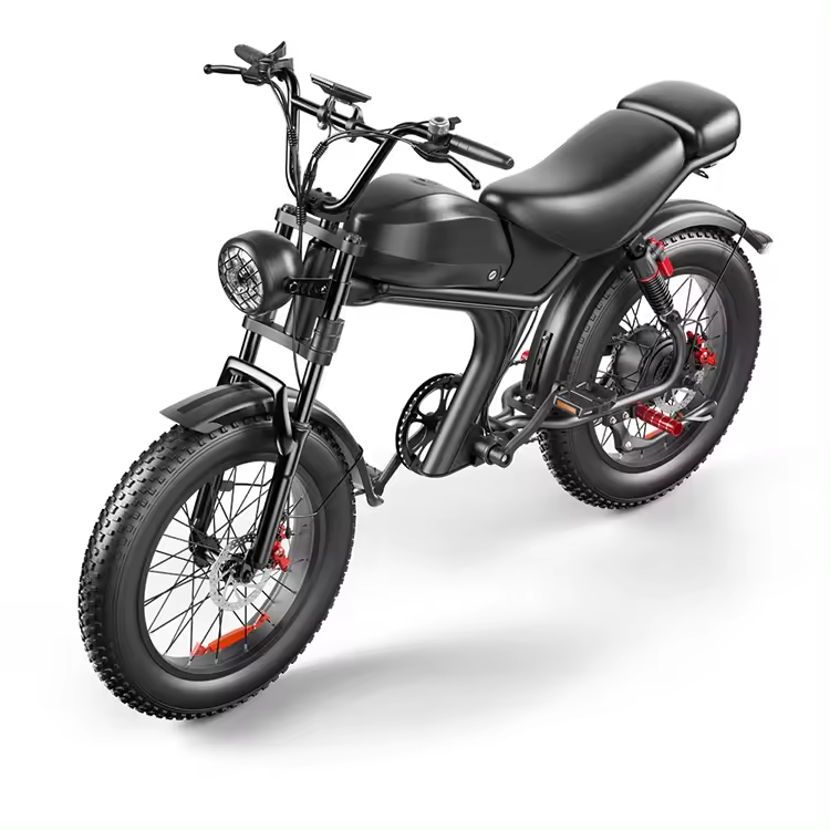 Powerful 48V 1000W 2000W Snow E Bike Lithium Battery 26 Inch Fat Tire Mountain Electric Bikes Motorcycle