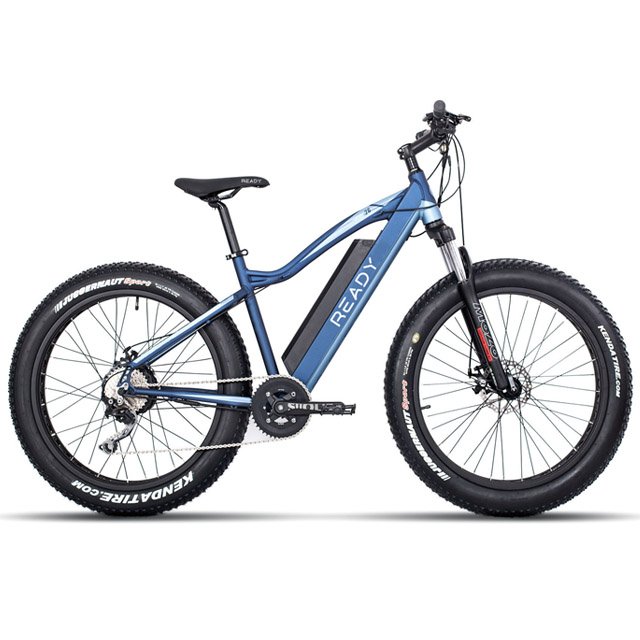 High quality electric bike 800w fat tire bicycle beach cruise e-bike all terrain offroad ebike bicycle