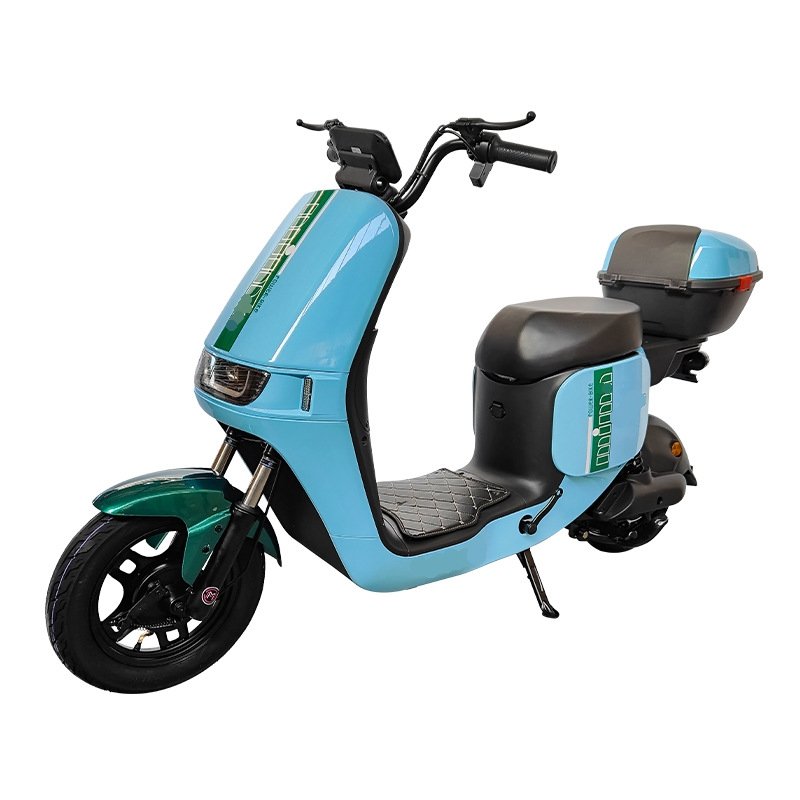 48V 60V Electric City Bike for Adults High Max Speed Ebike with Double Seat Electronic Smart Type