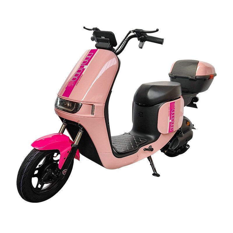 48V 60V Electric City Bike for Adults High Max Speed Ebike with Double Seat Electronic Smart Type