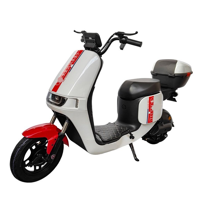48V 60V Electric City Bike for Adults High Max Speed Ebike with Double Seat Electronic Smart Type