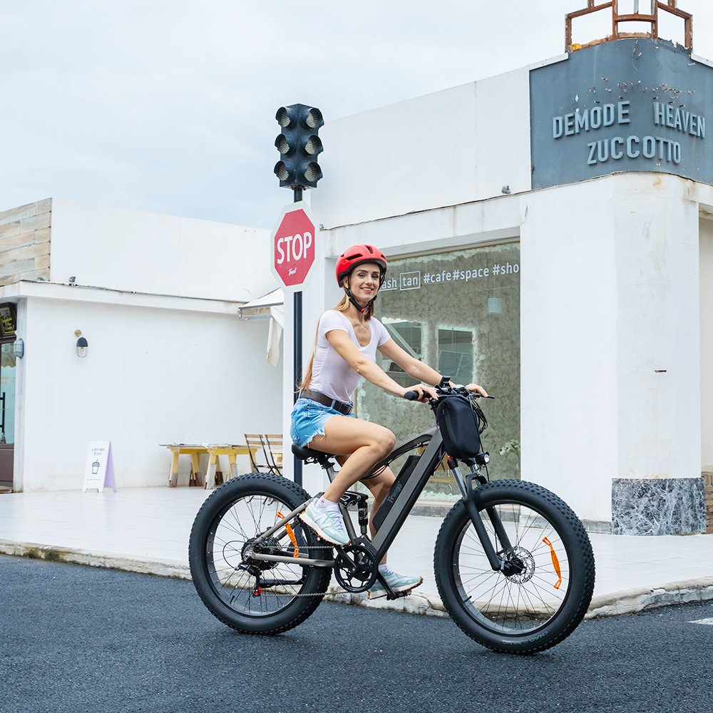 Ready for Shipment e bike 26 4.0 Fat Tire Power Battery Electric Mountain Bike