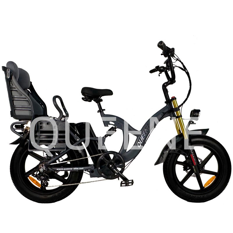 QUEENE Factory Price 20 Inch Fat Tire 15Ah Lithium Battery 7 Speeds 2 Seater Ebike Electric City Bike