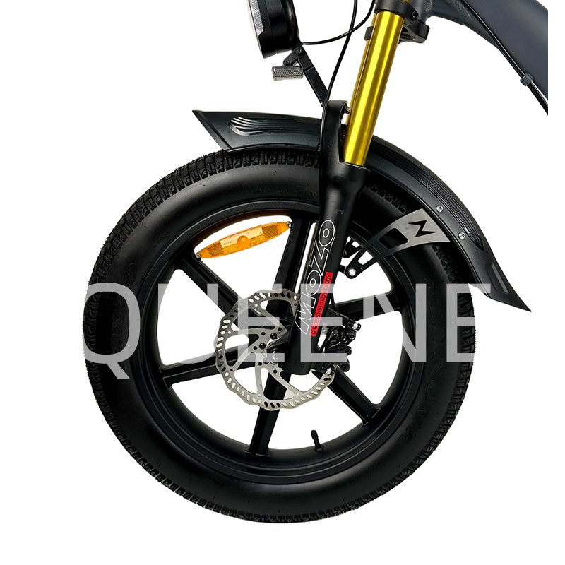 QUEENE Factory Price 20 Inch Fat Tire 15Ah Lithium Battery 7 Speeds 2 Seater Ebike Electric City Bike