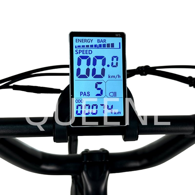 QUEENE Factory Price 20 Inch Fat Tire 15Ah Lithium Battery 7 Speeds 2 Seater Ebike Electric City Bike