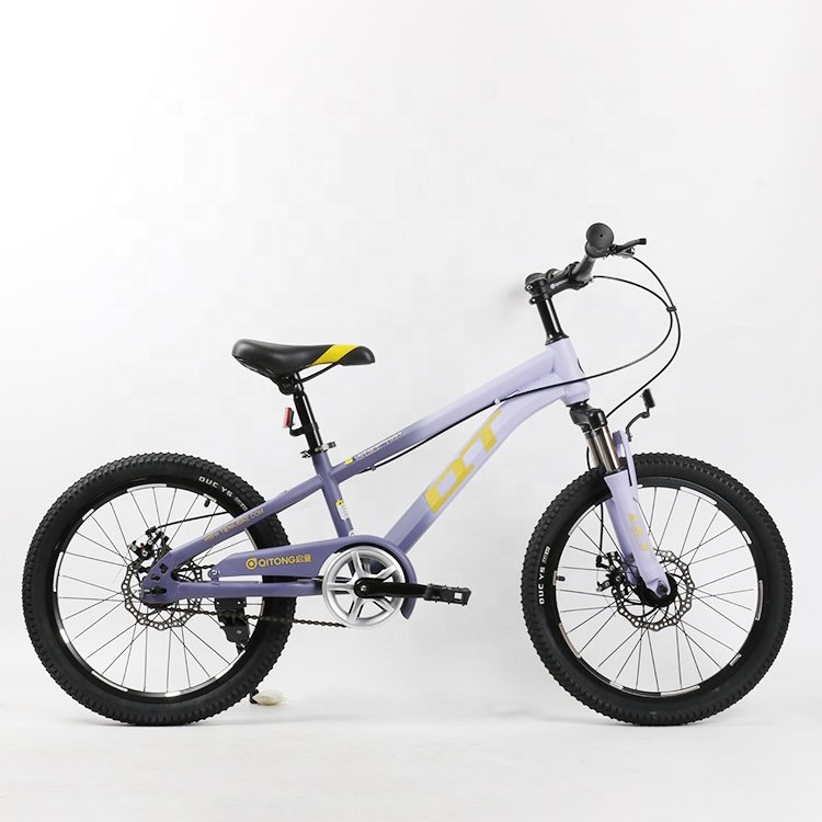 20 22 inch aluminum alloy kids mountain bike/High quality china factory kids mountain bike /2023 new model