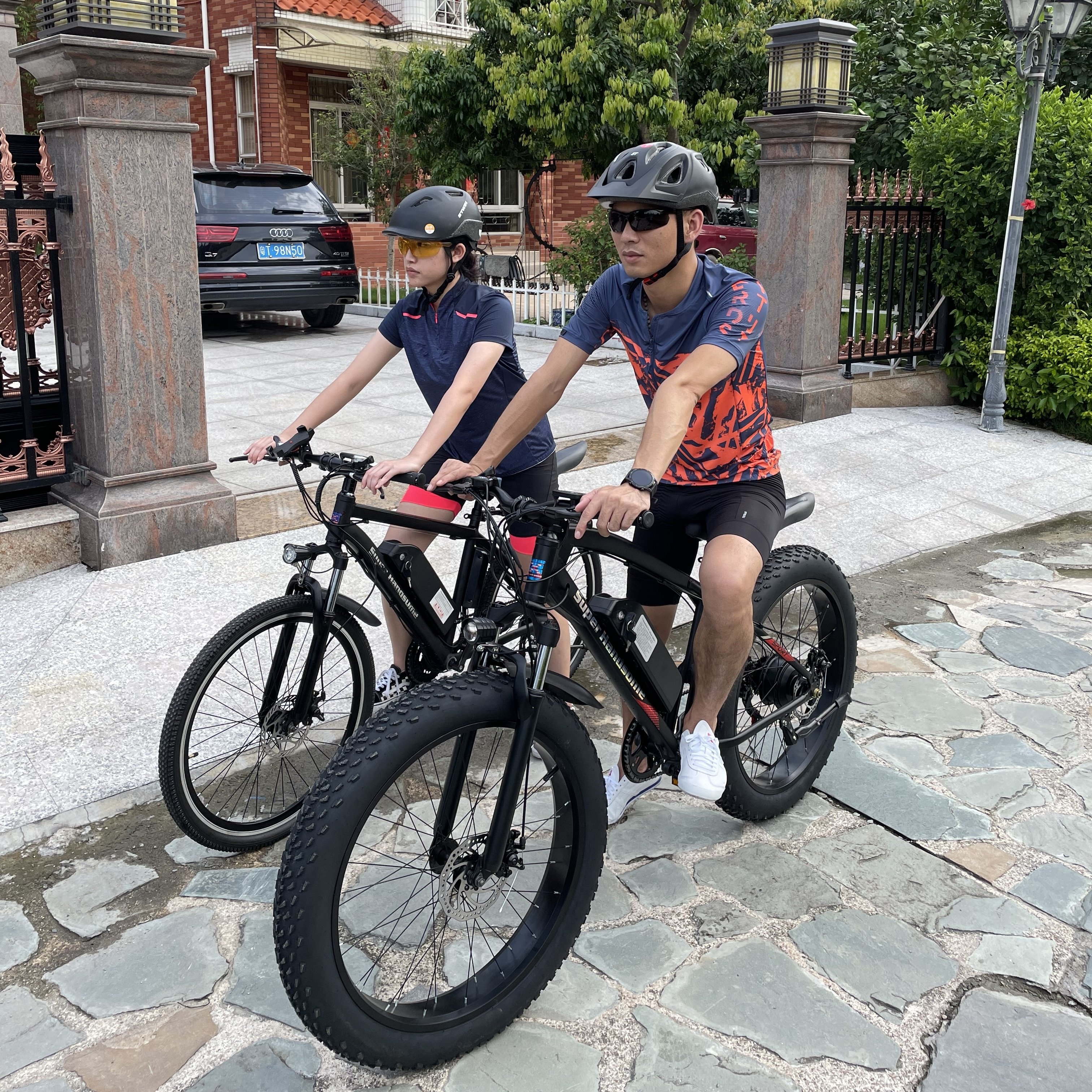 Adult eBike in electric bicycle 48 V with fast speed/26 ''electric mountain bike bicycle 48V 10AH fat electric bike bicycle