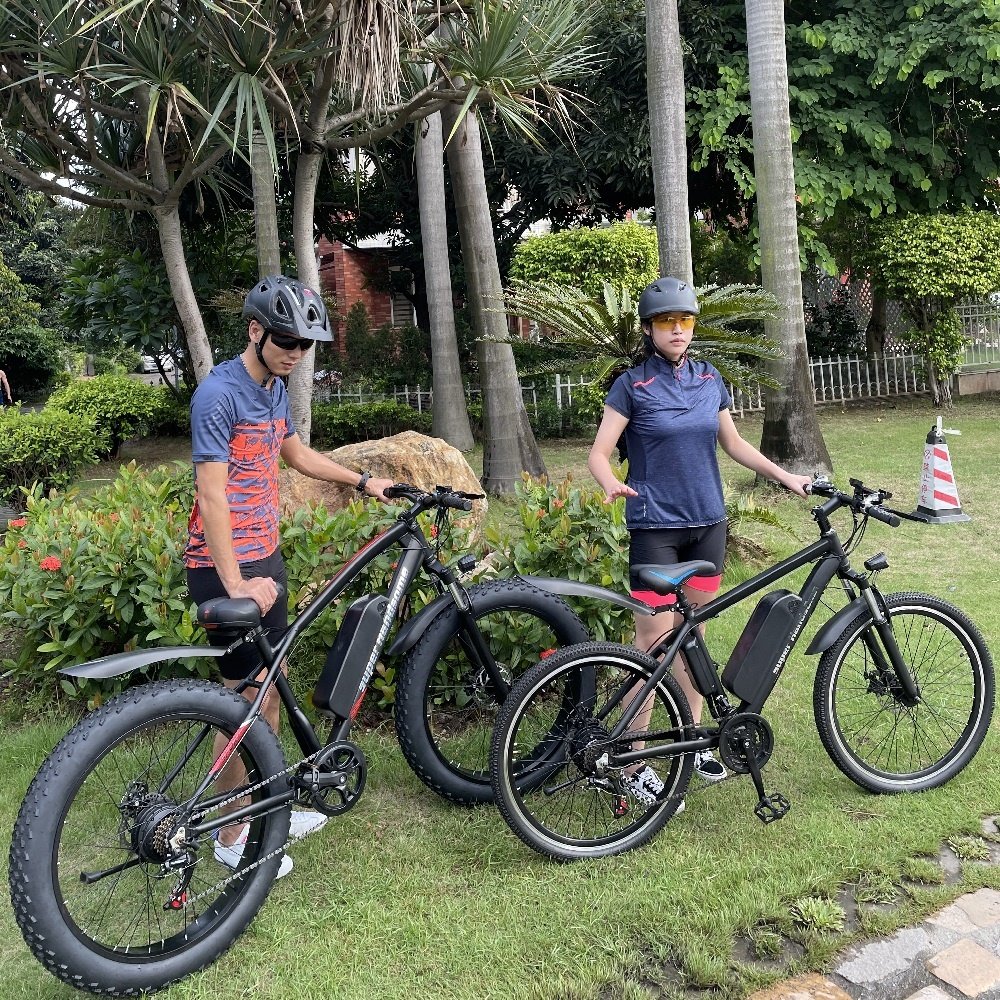 Adult eBike in electric bicycle 48 V with fast speed/26 ''electric mountain bike bicycle 48V 10AH fat electric bike bicycle