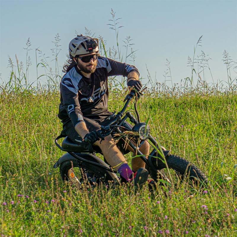 Factory Wholesaler 25Kmh Electric Bicycle 250W 500W E Fat Dirt Bike
