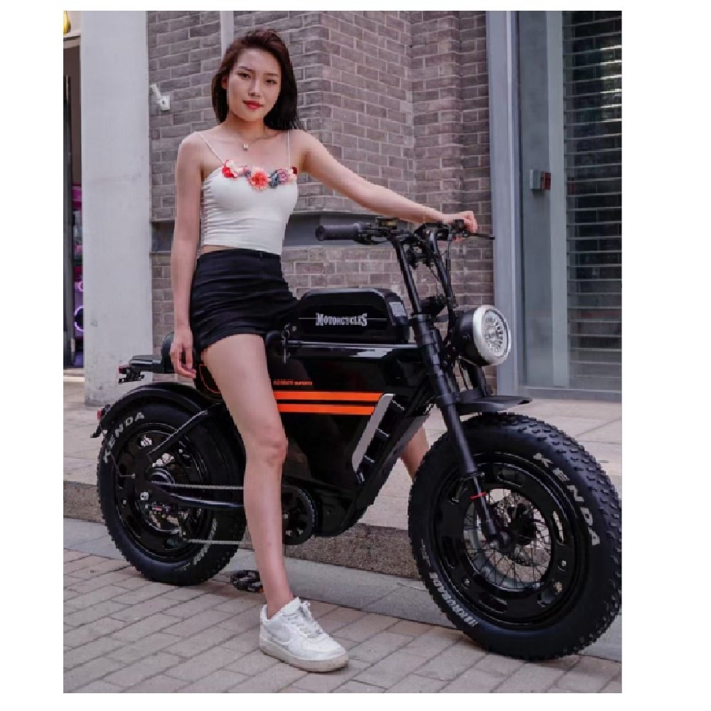 Retro Fatbike 1000W Other Electric Fat Tire E Mountain Hybrid Bike Motorcycles MTB Electric Bicycle 25Ah 35Ah For Adults
