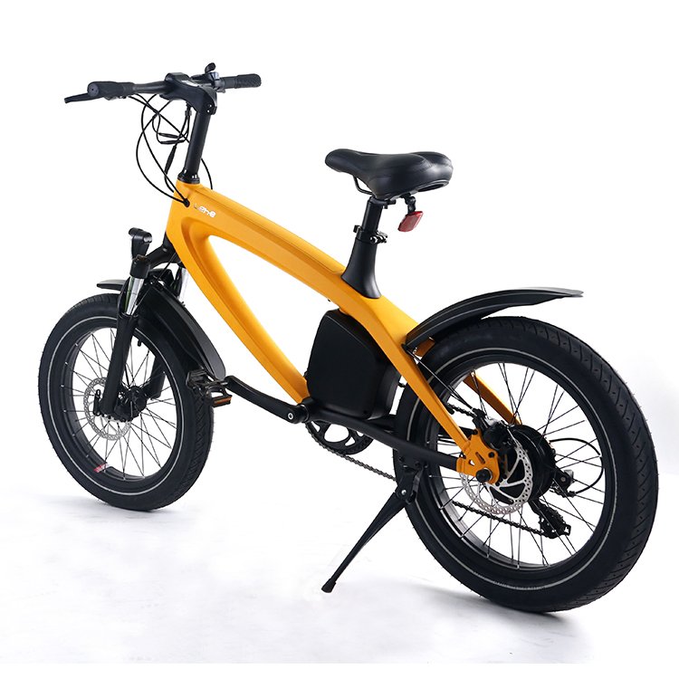 LEHE S2 Most powerful E-bike fat tire electric bicycle snow mountain bike