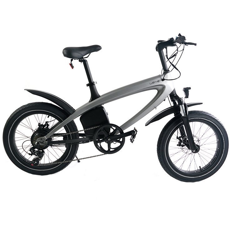 LEHE S2 Most powerful E-bike fat tire electric bicycle snow mountain bike